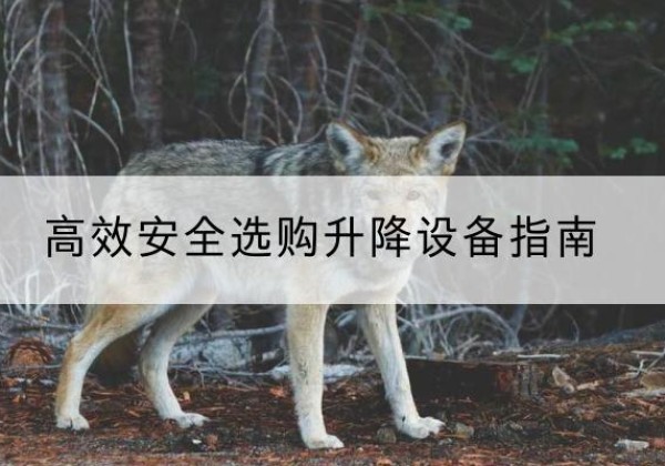 横山升降货梯厂家推荐-*安全选购升降设备指南