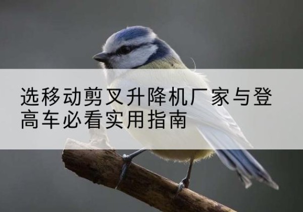 横山电动升降机厂家-选移动剪叉升降机厂家与登高车必看实用指南