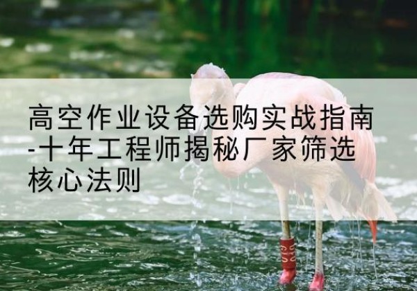横山剪叉式升降机厂家-高空作业设备选购实战指南-十年工程师揭秘厂家筛选核心法则