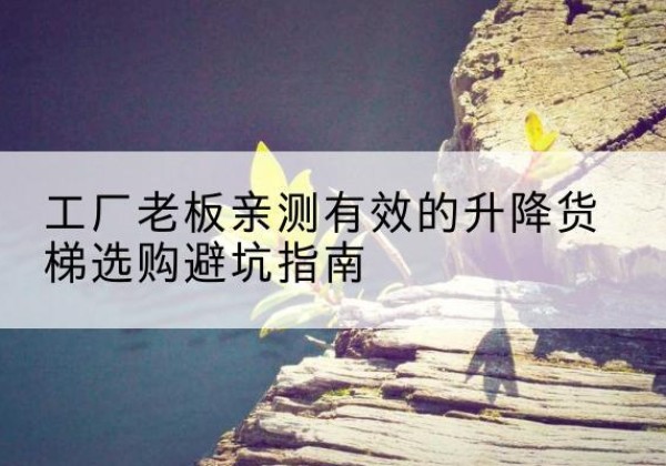 横山升降货梯怎么选-工厂老板亲测有效的升降货梯选购避坑指南
